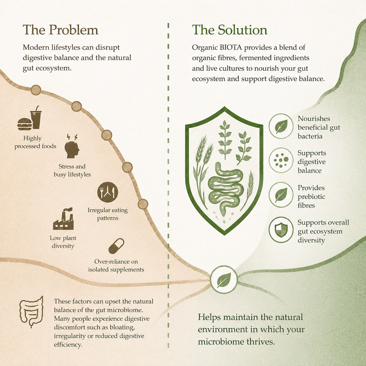 Infographic illustrating how modern diets, low fibre intake, processed foods and lifestyle factors can disrupt the gut ecosystem, alongside Organic BIOTA's organic fibres, fermented ingredients and live cultures supporting digestive balance and microbiome diversity.